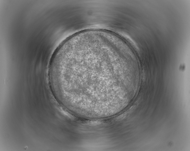 X0000090731278200708171940