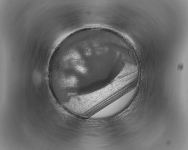 X0000090731279200708171940