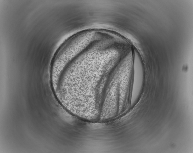 X0000090731280200708171940