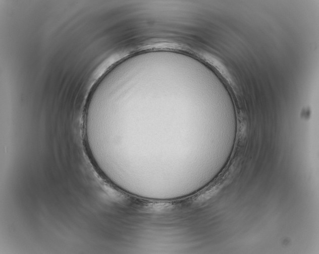 X0000090731282200708171940