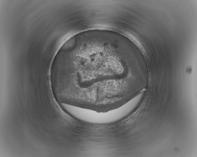 X0000090731283200708171940