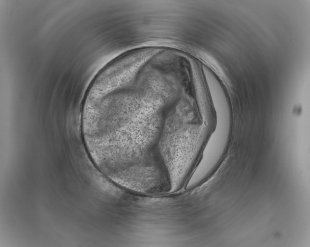 X0000090731284200708171940