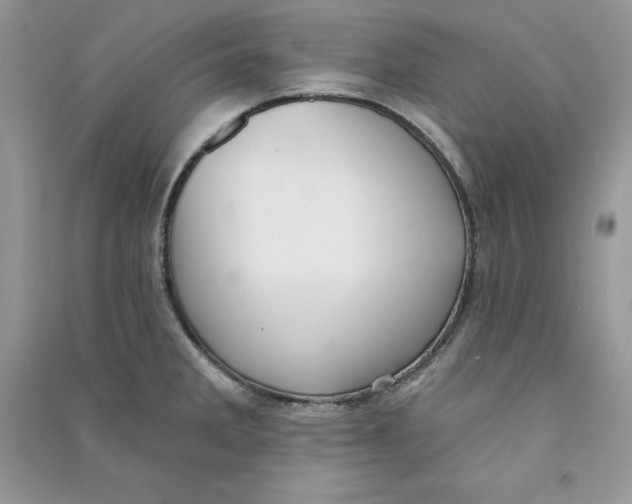 X0000090731285200708171940