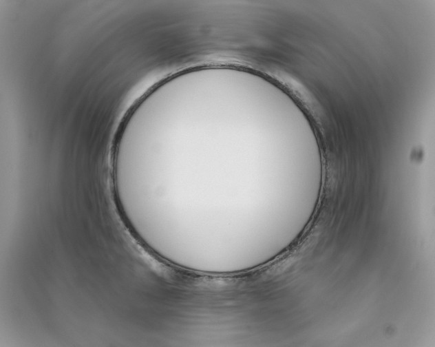 X0000090731286200708171940