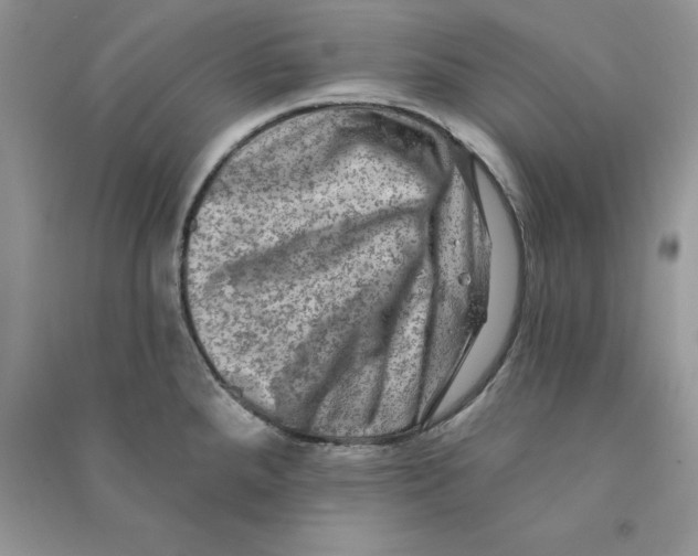 X0000090731288200708171940