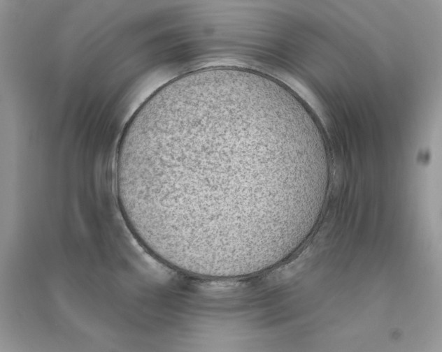 X0000090731290200708171939