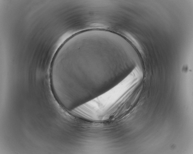 X0000090731291200708171939