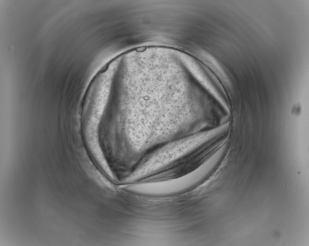 X0000090731292200708171939