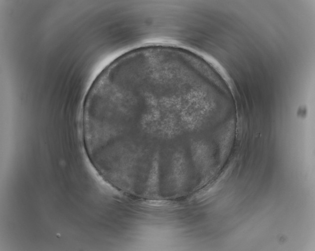 X0000090731295200708171939