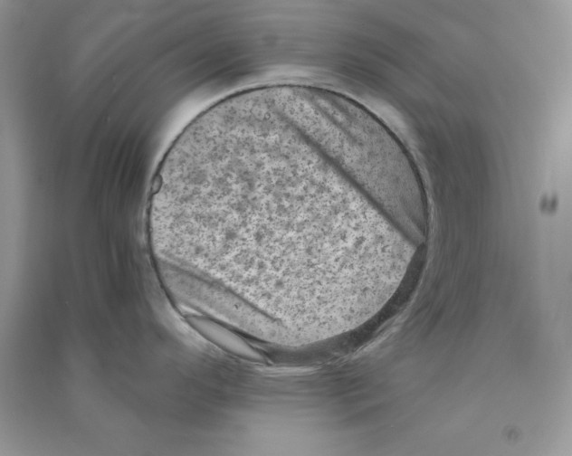 X0000090731296200708171939