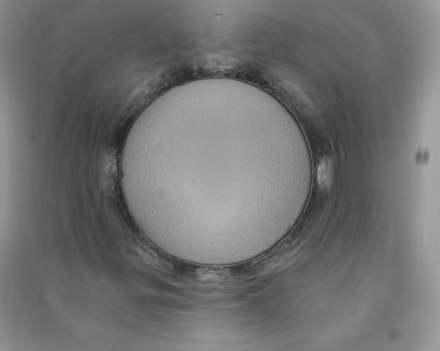 X0000090731299200708171939