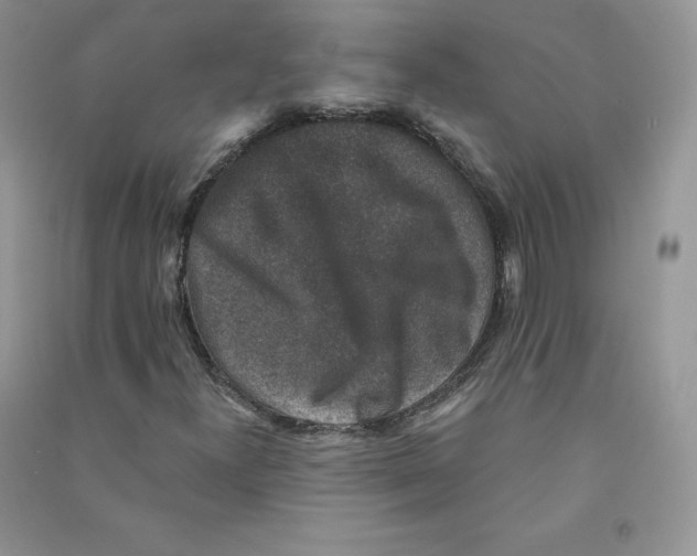 X0000090731300200708171939