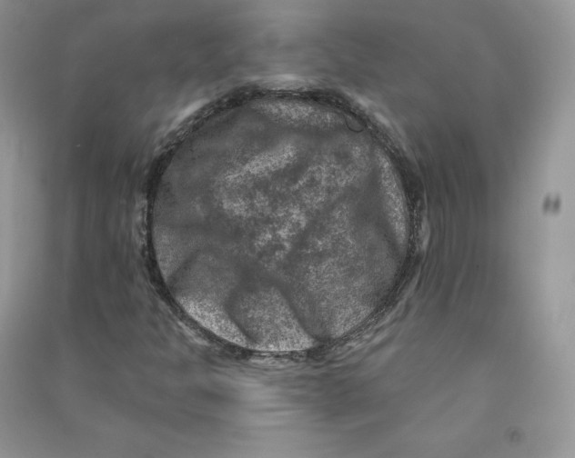 X0000090731301200708171939