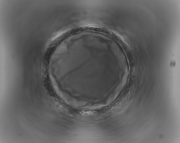 X0000090731303200708171939