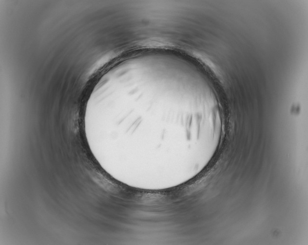 X0000090731306200708171939