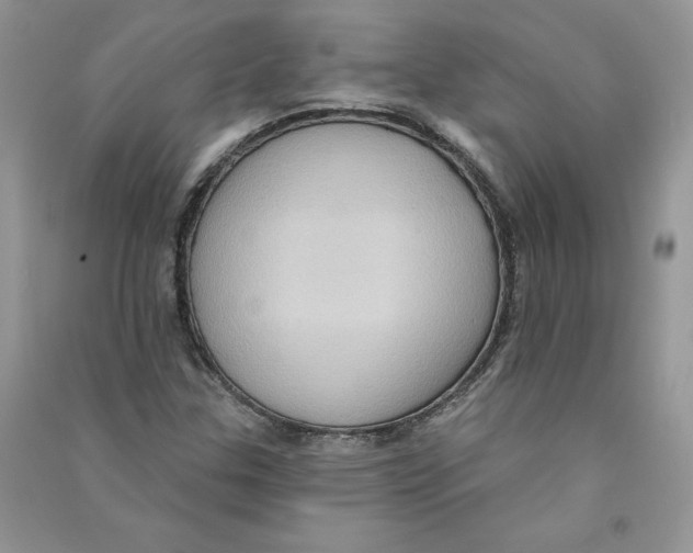 X0000090731307200708171939