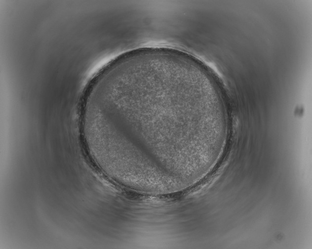 X0000090731311200708171939