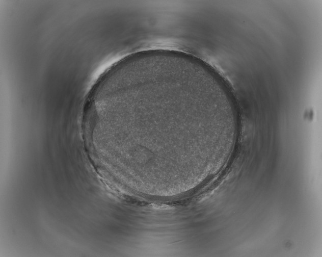 X0000090731312200708171939