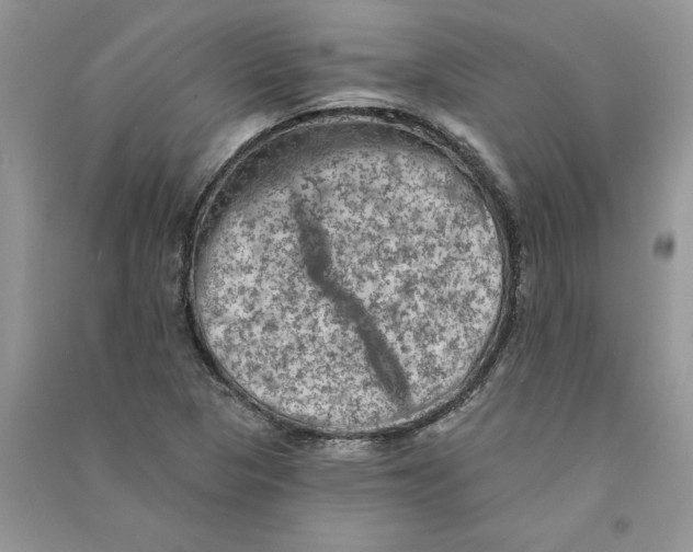 X0000090731313200708171939