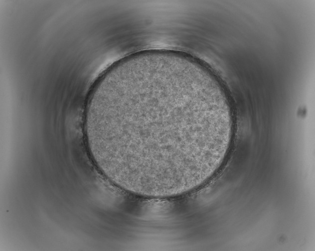 X0000090731314200708171939