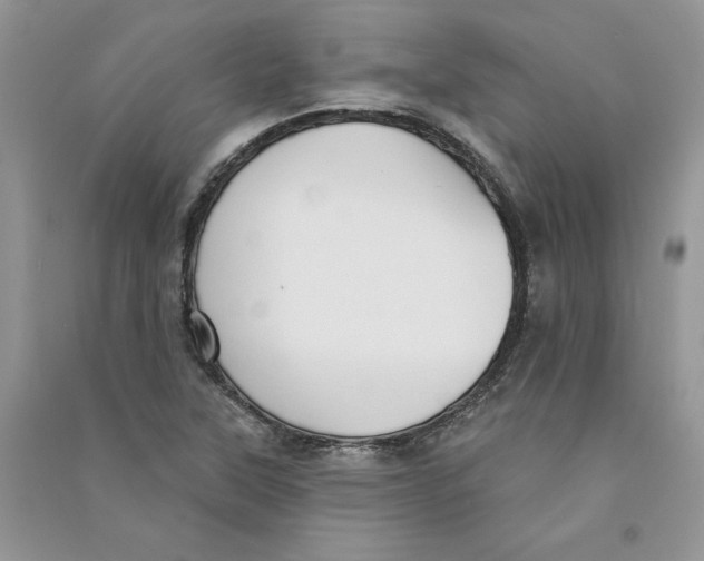 X0000090731315200708171939