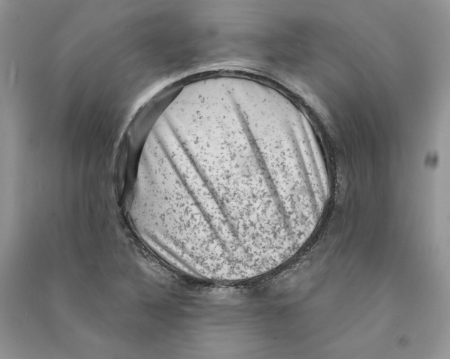 X0000090731316200708171939