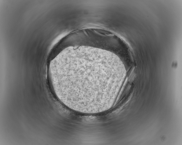 X0000090731317200708171939