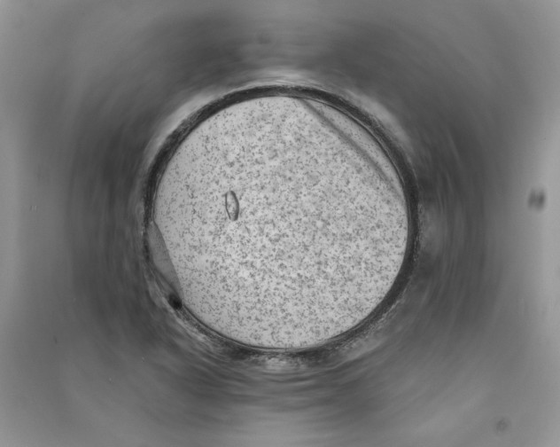 X0000090731318200708171939