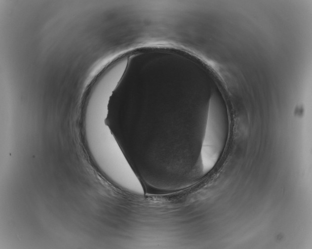 X0000090731319200708171939