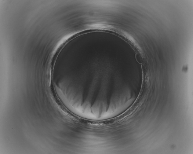 X0000090731323200708171939