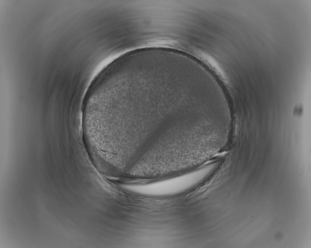 X0000090731324200708171939