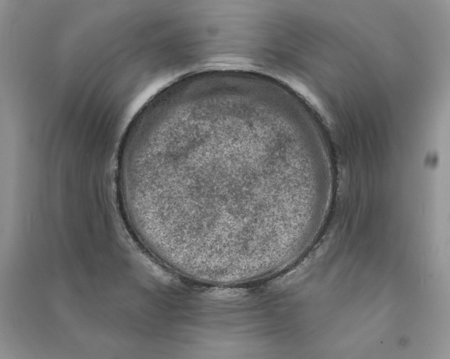 X0000090731325200708171939