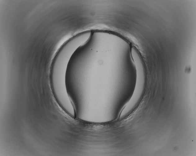 X0000090731326200708171939