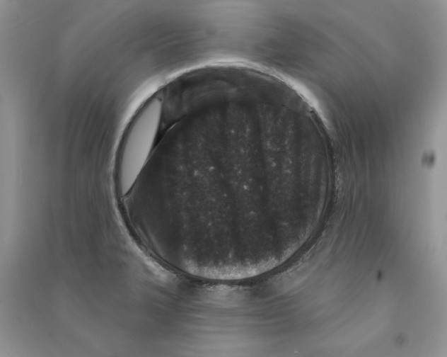 X0000090731327200708171939