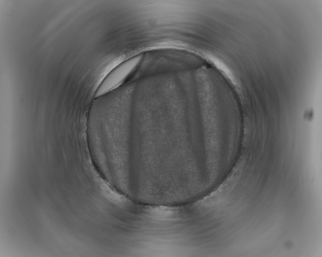 X0000090731329200708171939