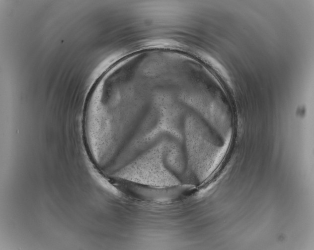 X0000090731330200708171939