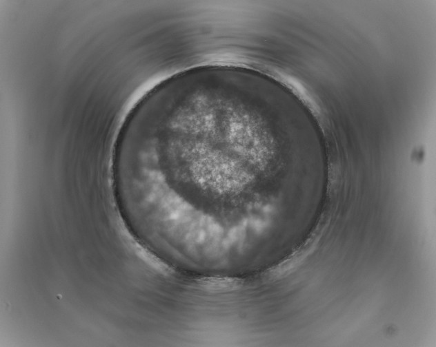 X0000090731331200708171939