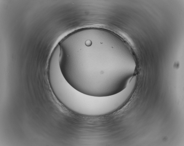 X0000090731332200708171939