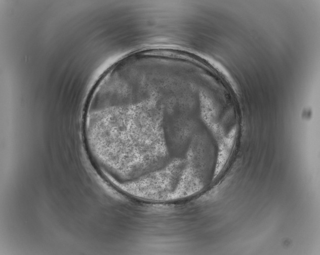 X0000090731333200708171939