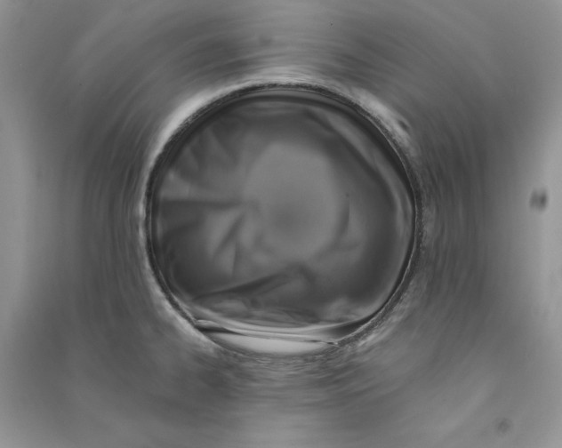 X0000090731334200708171939