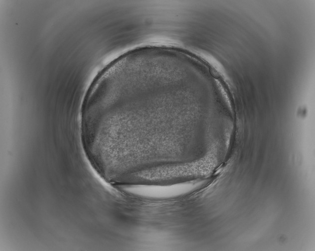 X0000090731335200708171939