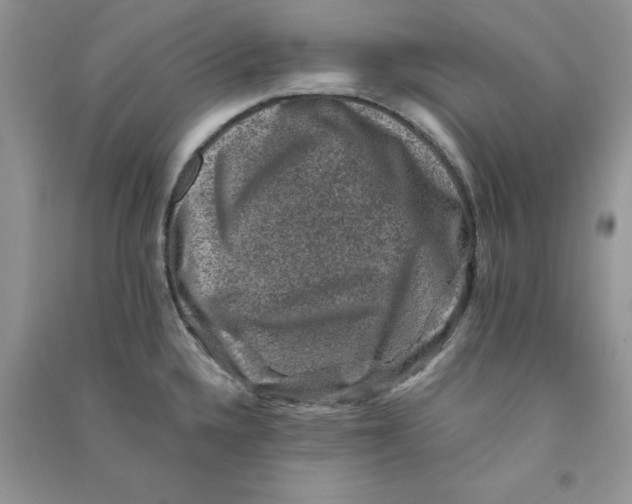 X0000090731336200708171939