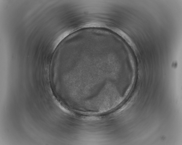 X0000090731337200708171939