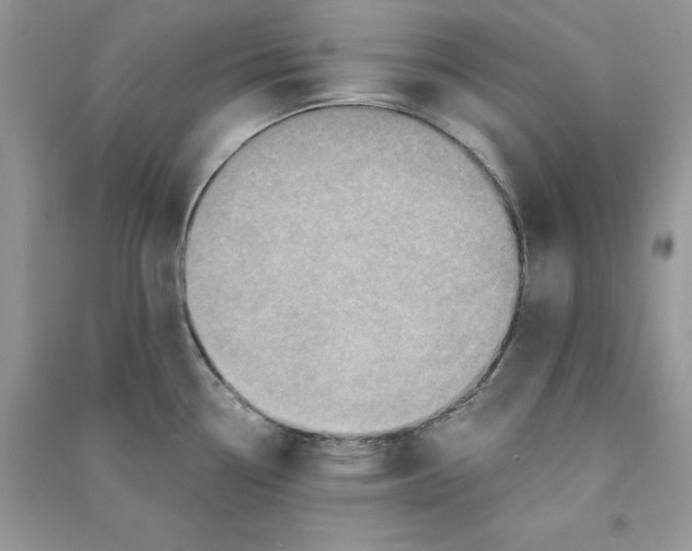 X0000090731338200708171939