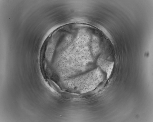 X0000090731339200708171939