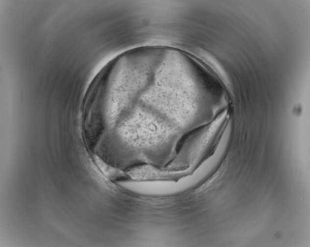 X0000090731340200708171939