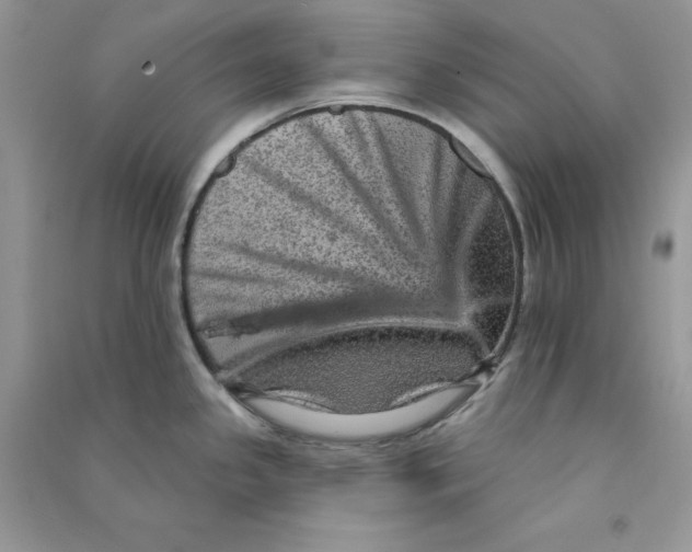 X0000090731341200708171939