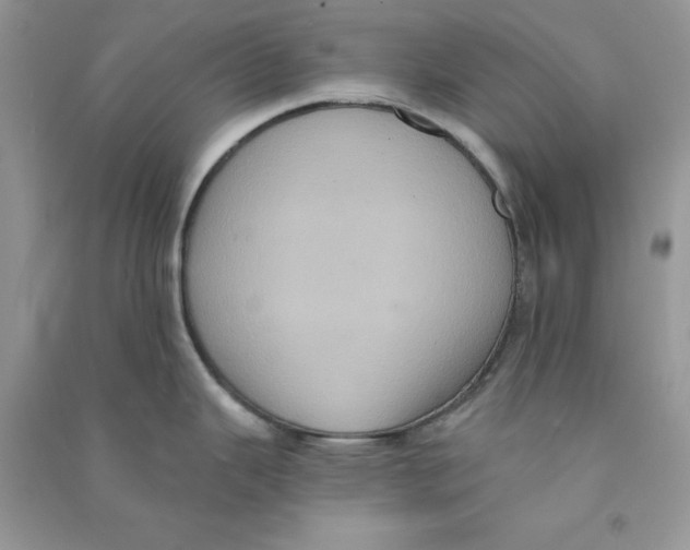 X0000090731343200708171939