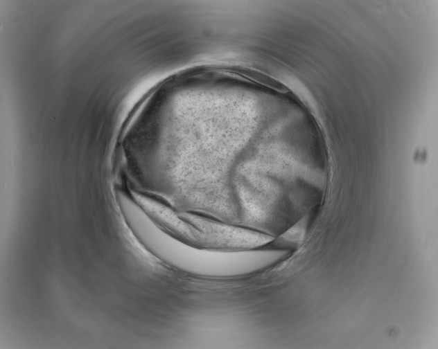 X0000090731344200708171939