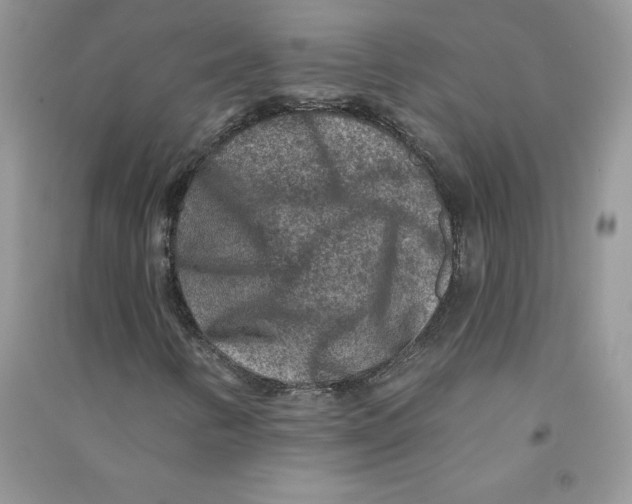 X0000090731346200708171939